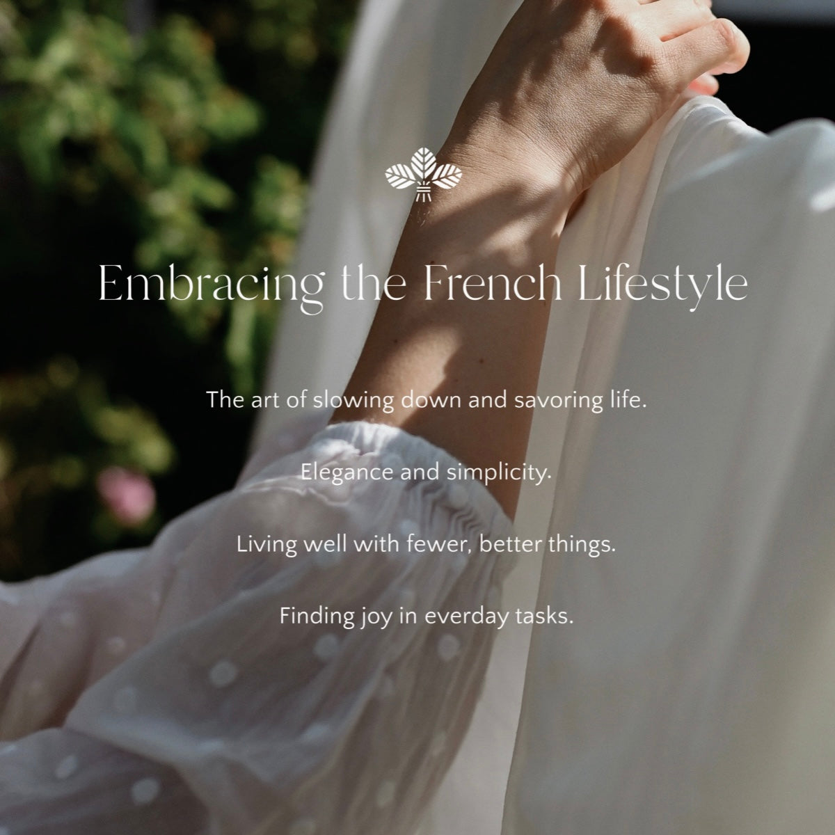 Maison France Luxe Ginger Root French Laundry Detergent ~ Parfum Racine de Gingembre ~ IN-STORE PURCHASE ONLY - Image 3