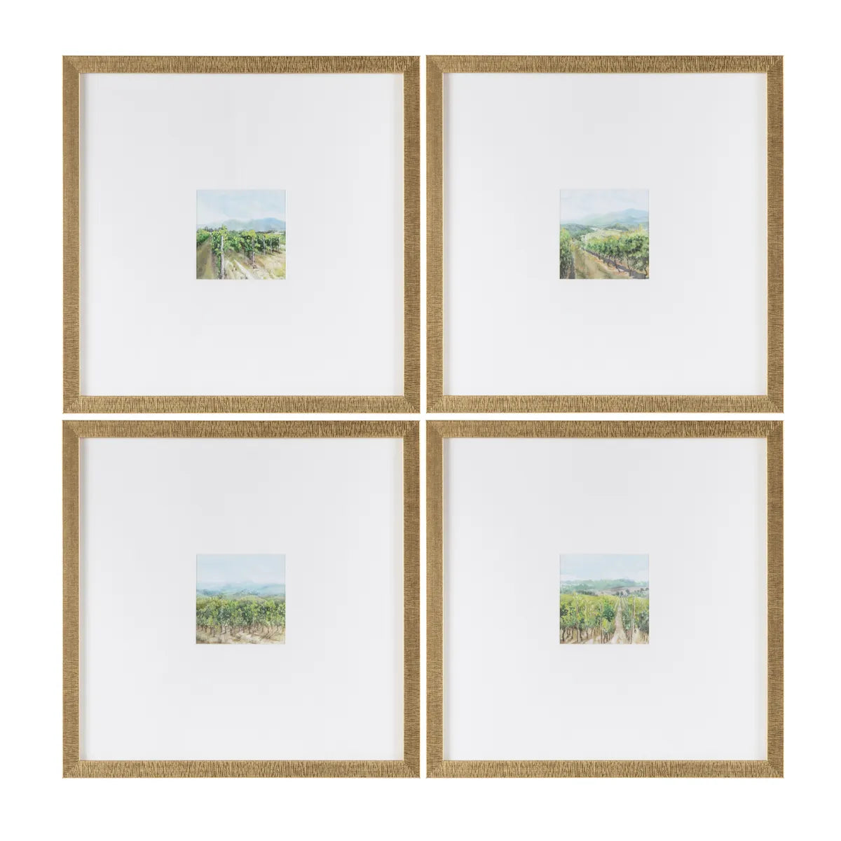 Crestview Collection Vineyards Mini Prints Wall Art ~ Set Of 4 - Image 1