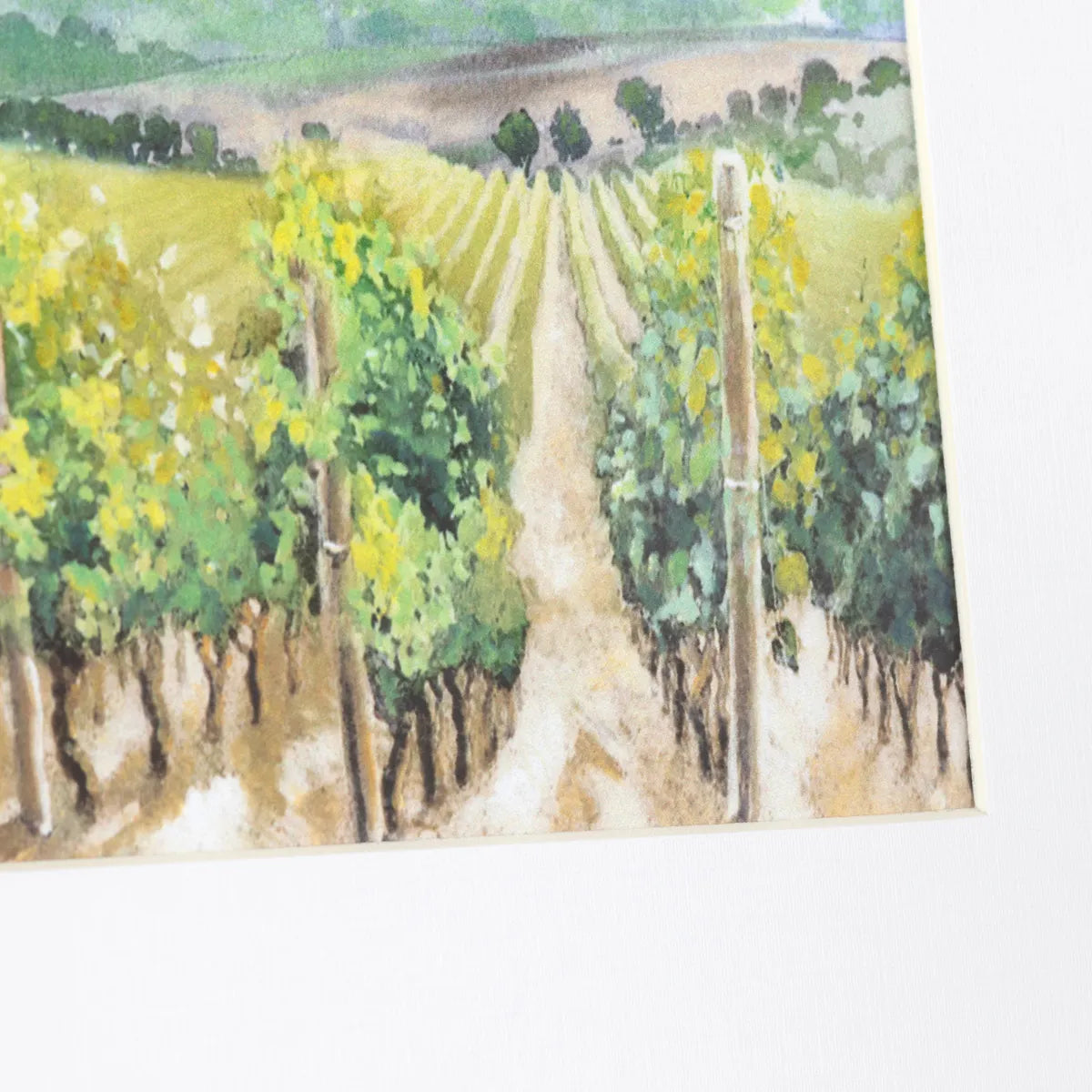Crestview Collection Vineyards Mini Prints Wall Art ~ Set Of 4 - Image 3