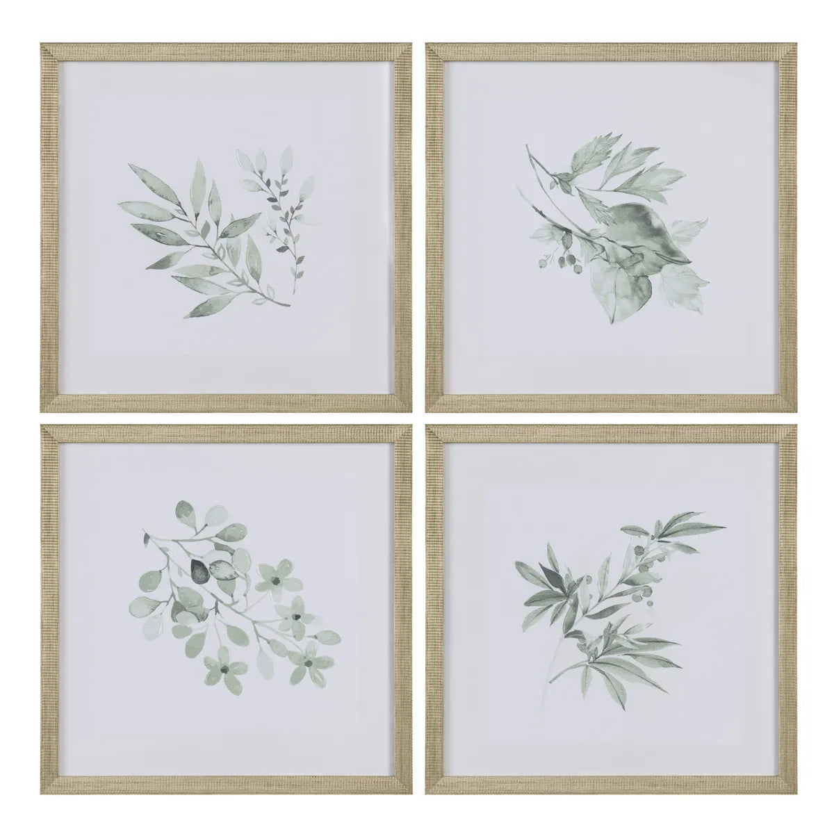 Crestview Collection Sage Foliage Wall Art ~ Set Of 4 - Image 1