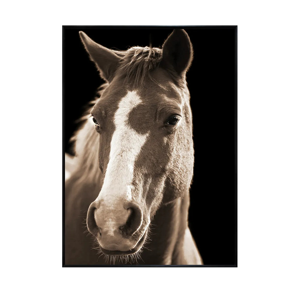 Crestview Collection Fayette 2  Wall Art - Image 1