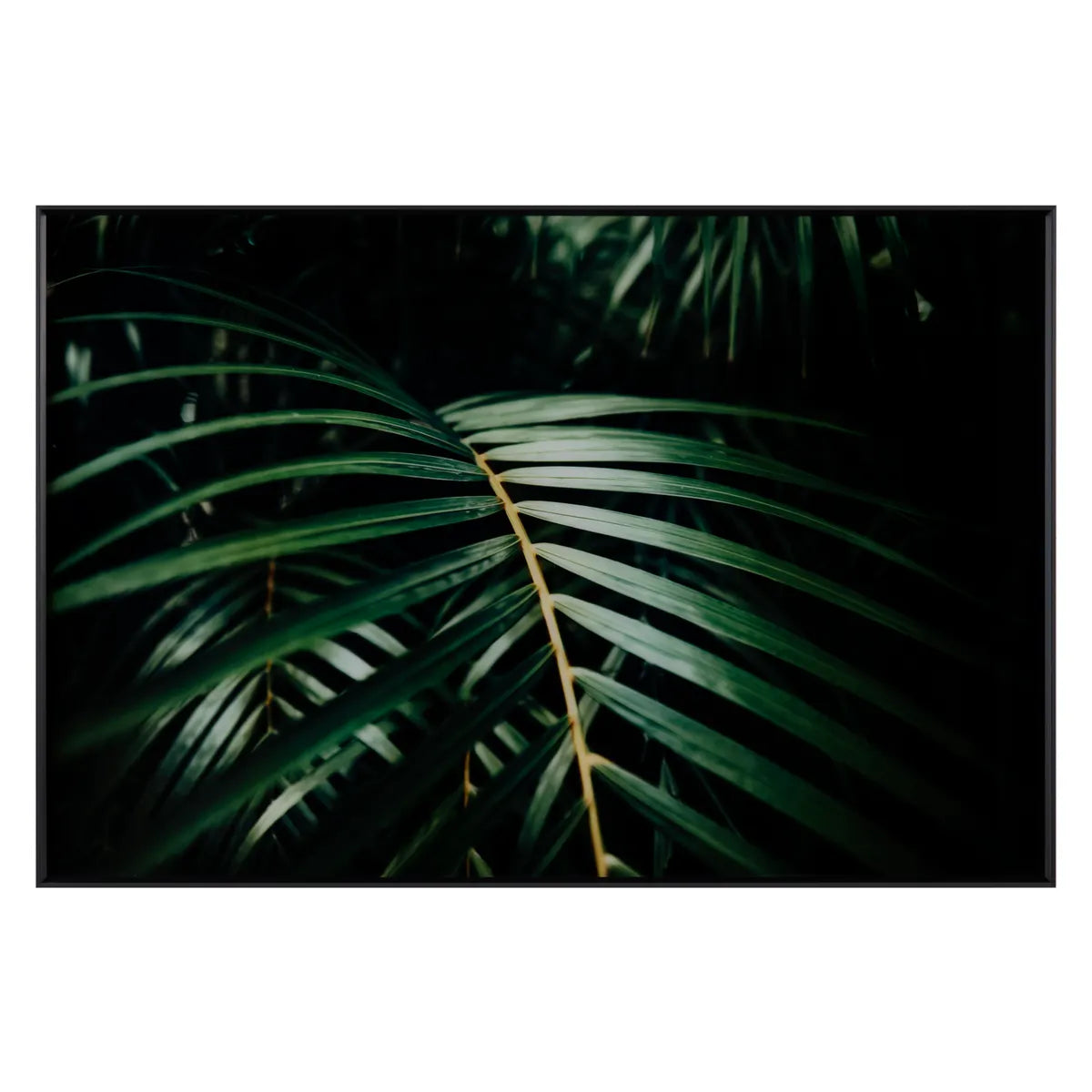 Crestview Collection Safari Leaves 2 Wall Art - Image 1