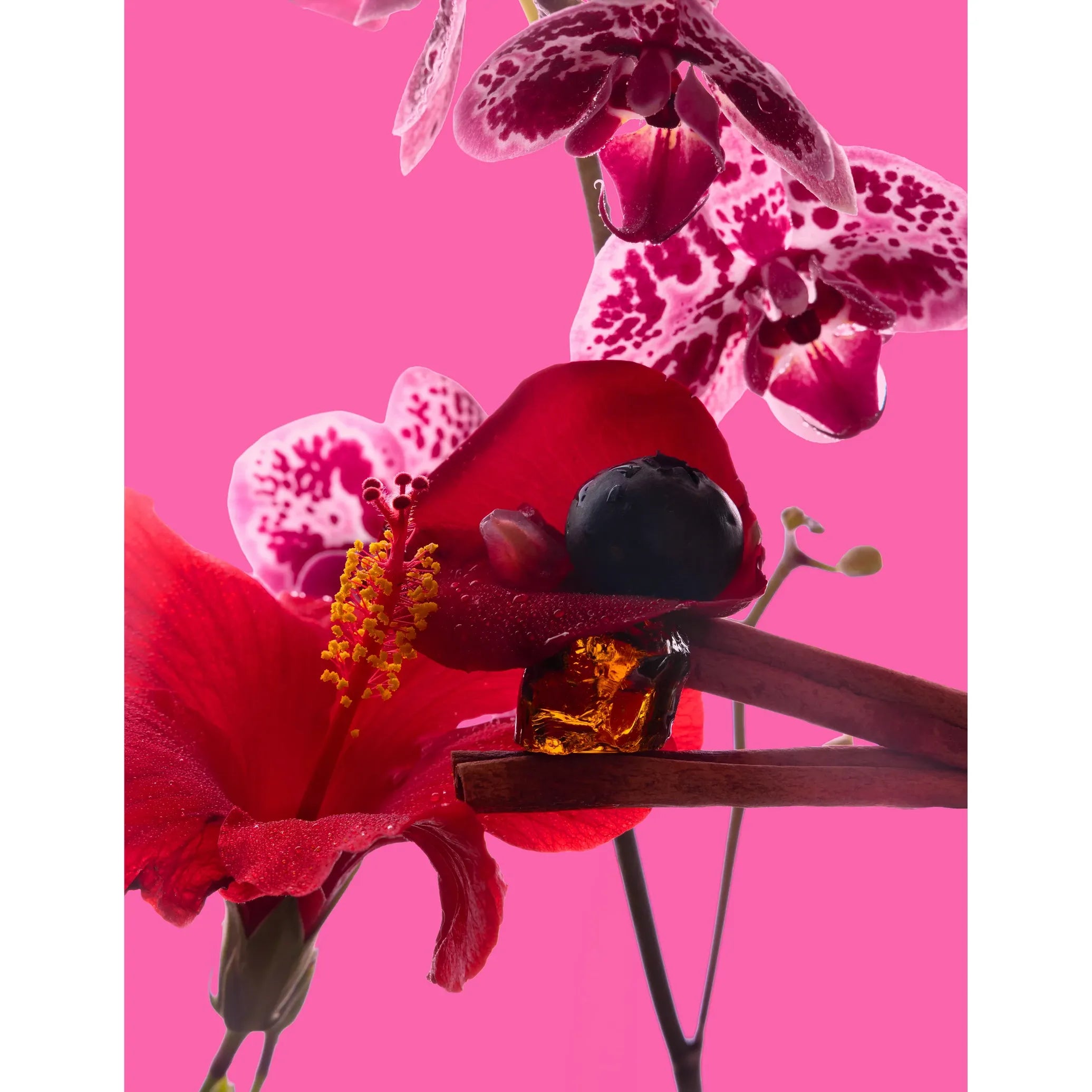 Big Ass Luxuries Hibiscus Rose Big Ass Candle ~ 300 oz. ~ IN-STORE PURCHASE ONLY - Image 3
