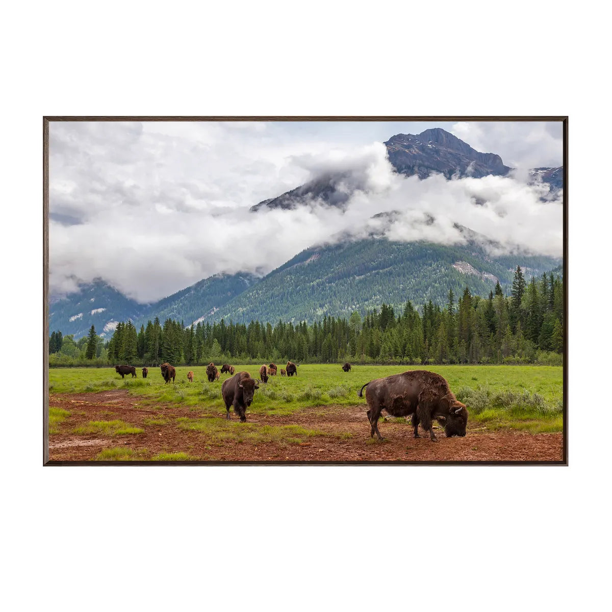 Crestview Collection Bison Valley Wall Art - Image 1