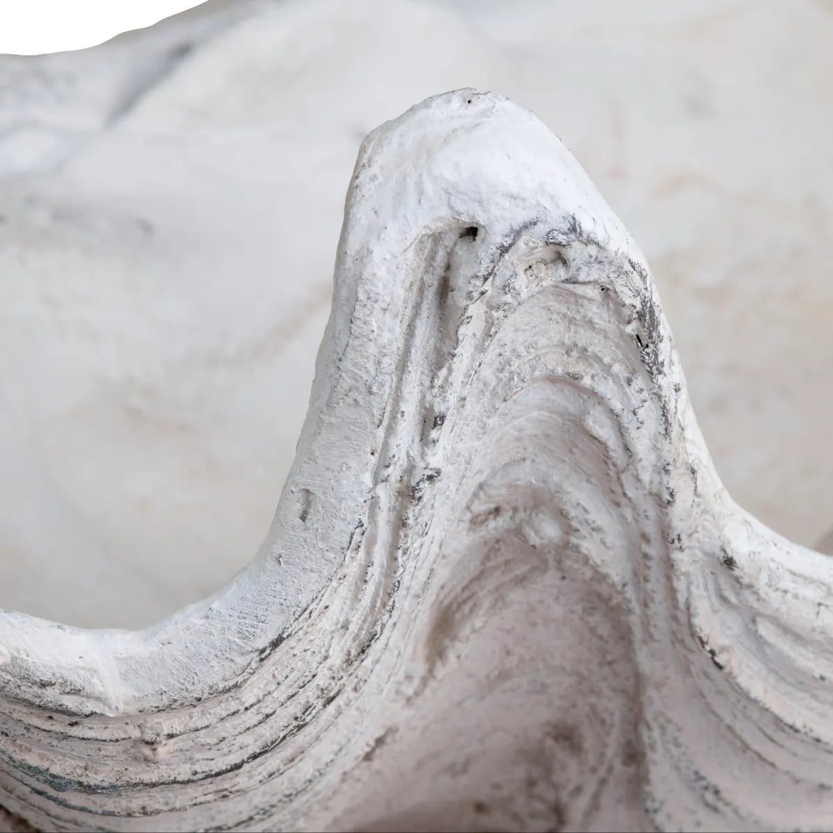 Crestview Collection Henley Shell Sculpture - Image 3