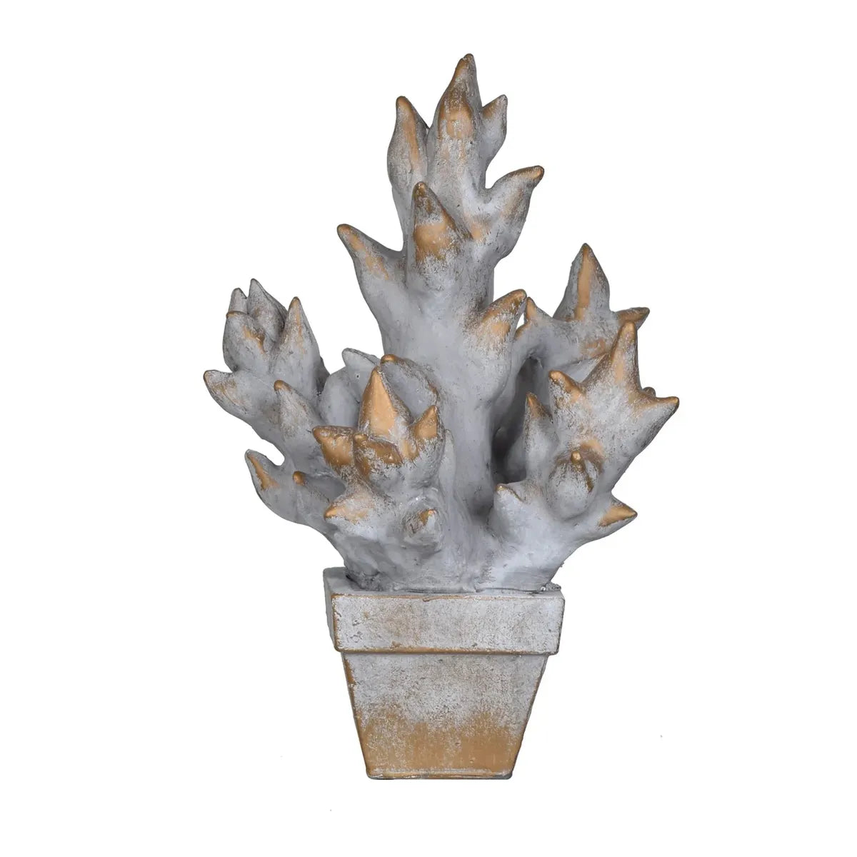 Crestview Collection Succulent Pot Culture - Image 1