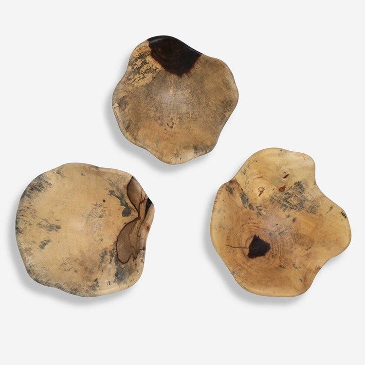 Uttermost Tamarine Set of 3 Natural Raw Finish Spalted Tamarind Wood Wall Art Decor - Image 2