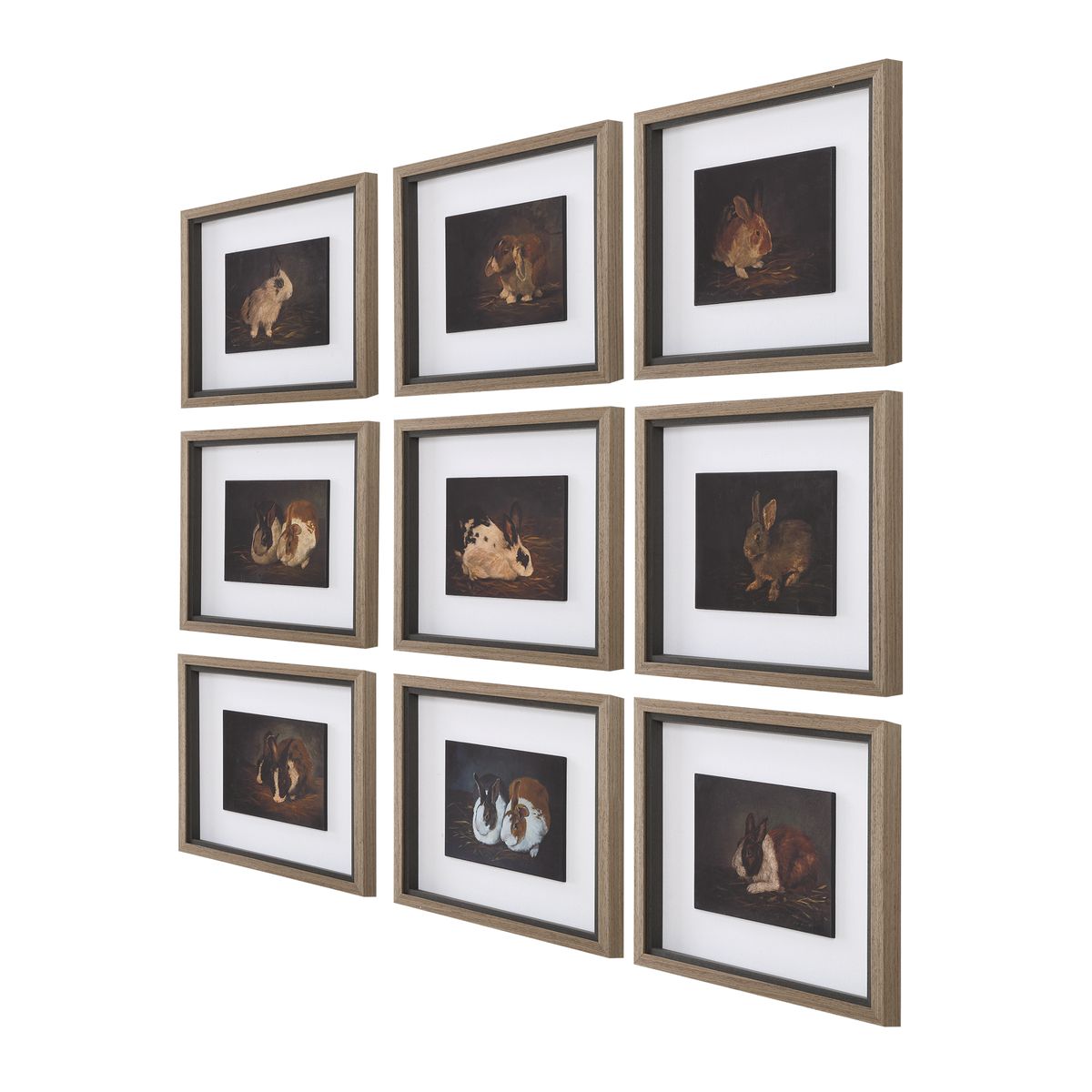 Uttermost Resting Bunny Framed Prints Set Of Nine - Image 3