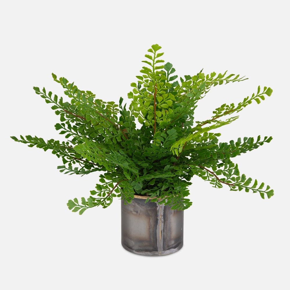 Uttermost Maidenhair Fern Accent Botanicals - Image 2
