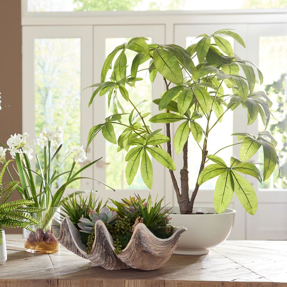 Uttermost Pachira Money Tree Botanicals - Image 3