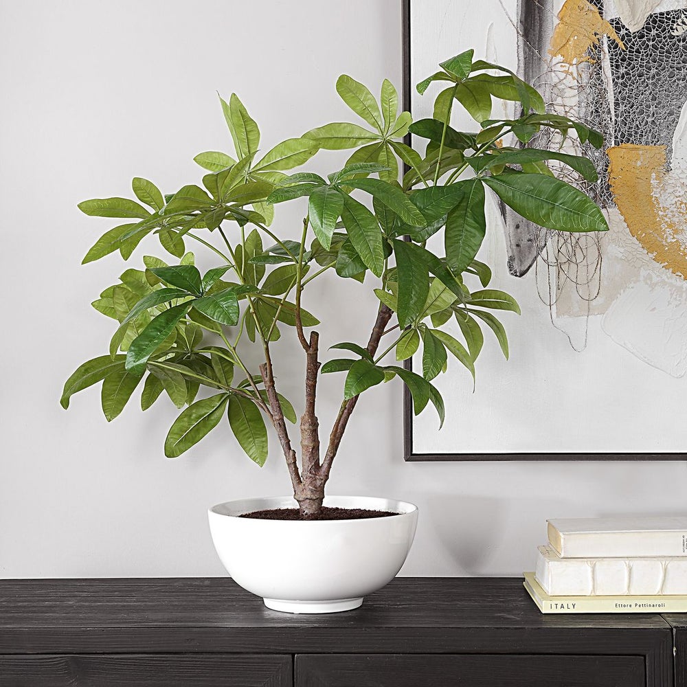 Uttermost Pachira Money Tree Botanicals - Image 1