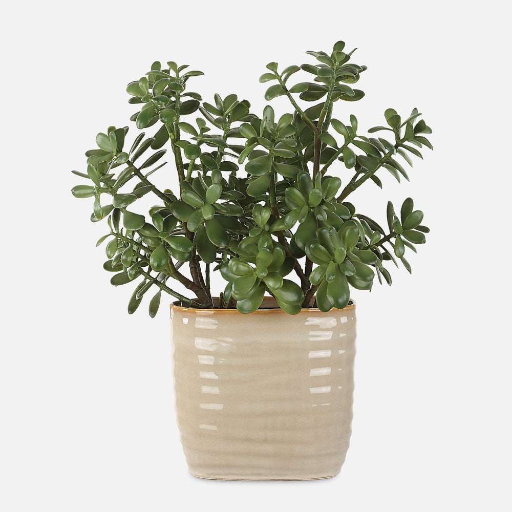 Uttermost Crassula Jade Accent Botanicals - Image 2