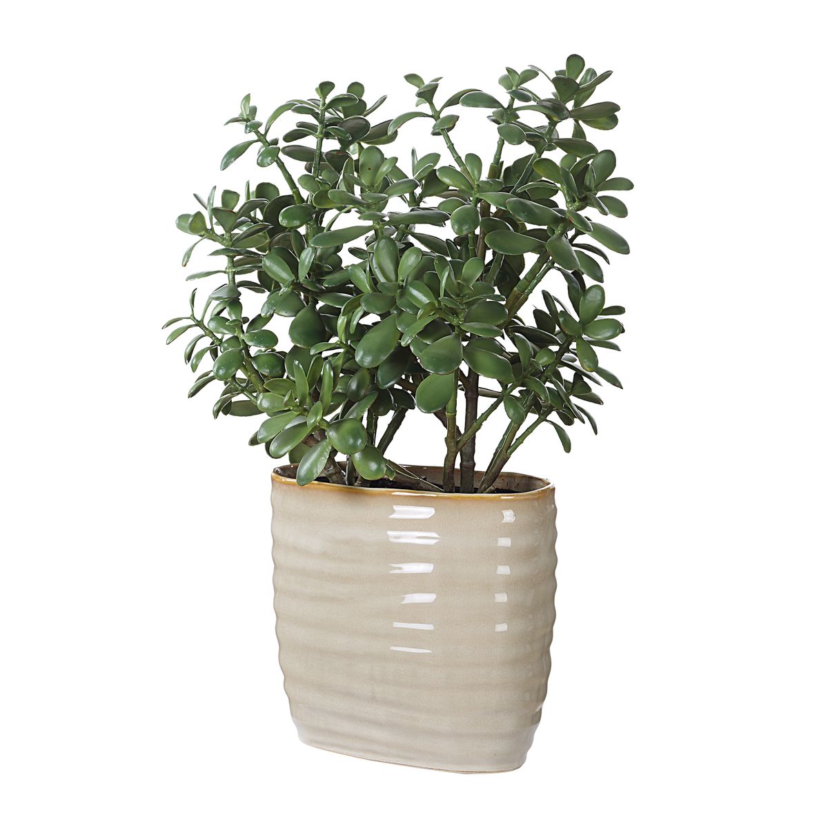 Uttermost Crassula Jade Accent Botanicals - Image 3