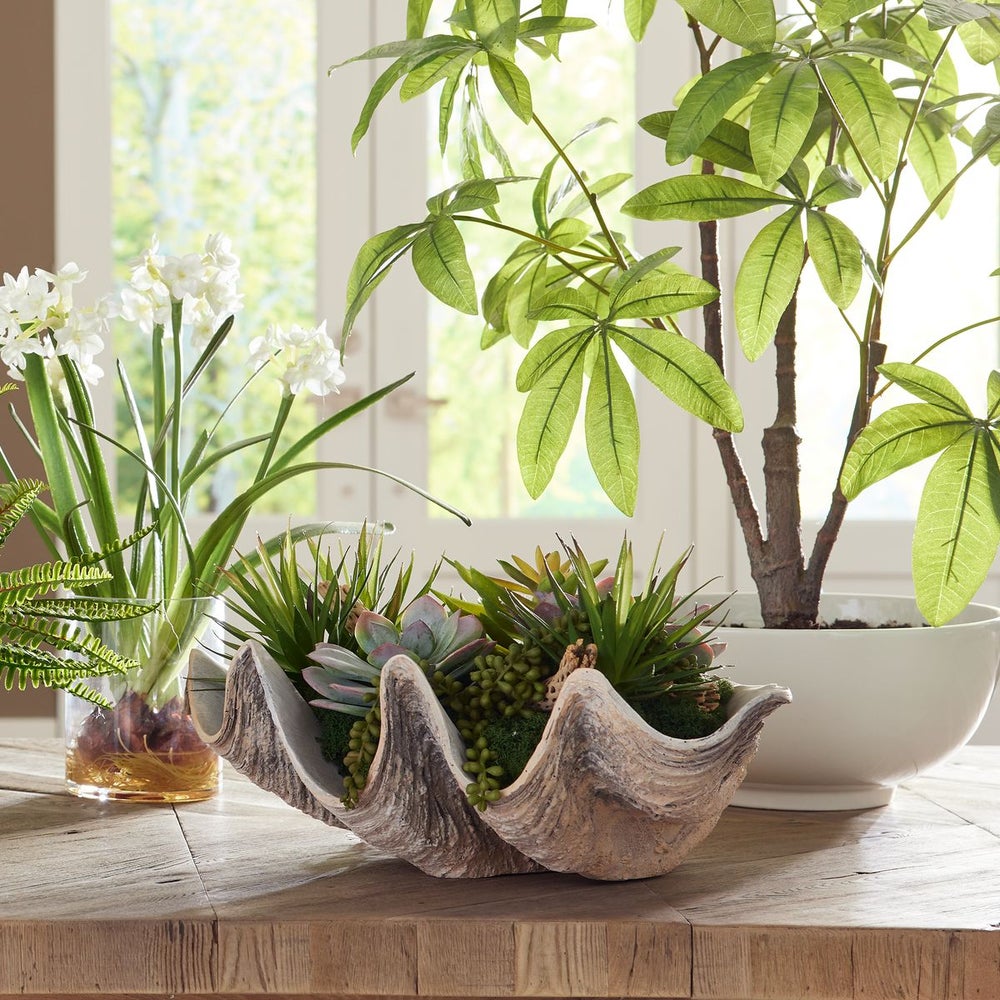 Uttermost Seaside Breeze Succulents Botanicals - Image 1