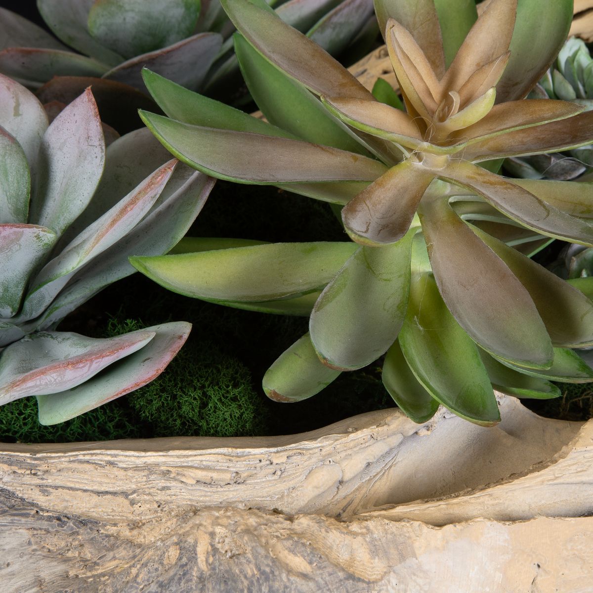Uttermost Seaside Breeze Succulents Botanicals - Image 3