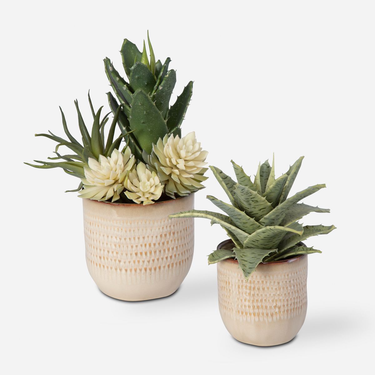Uttermost Seaside Succulents, Set Of Two  Botanicals - Image 2