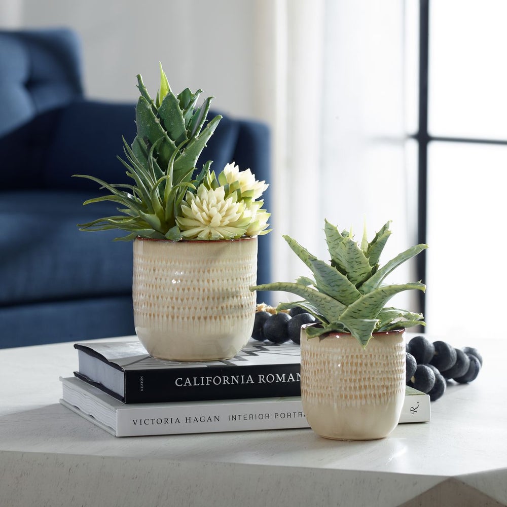Uttermost Seaside Succulents, Set Of Two  Botanicals - Image 1