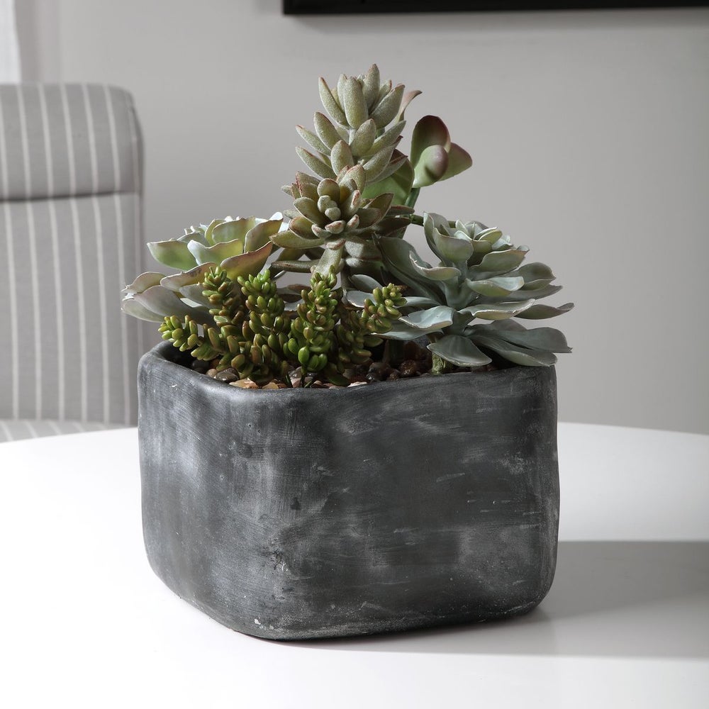 Uttermost Alverio Succulents Botanicals - Image 1
