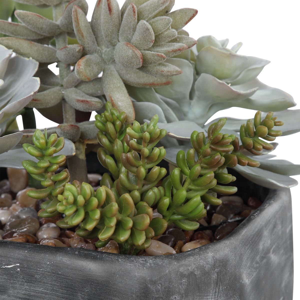 Uttermost Alverio Succulents Botanicals - Image 3