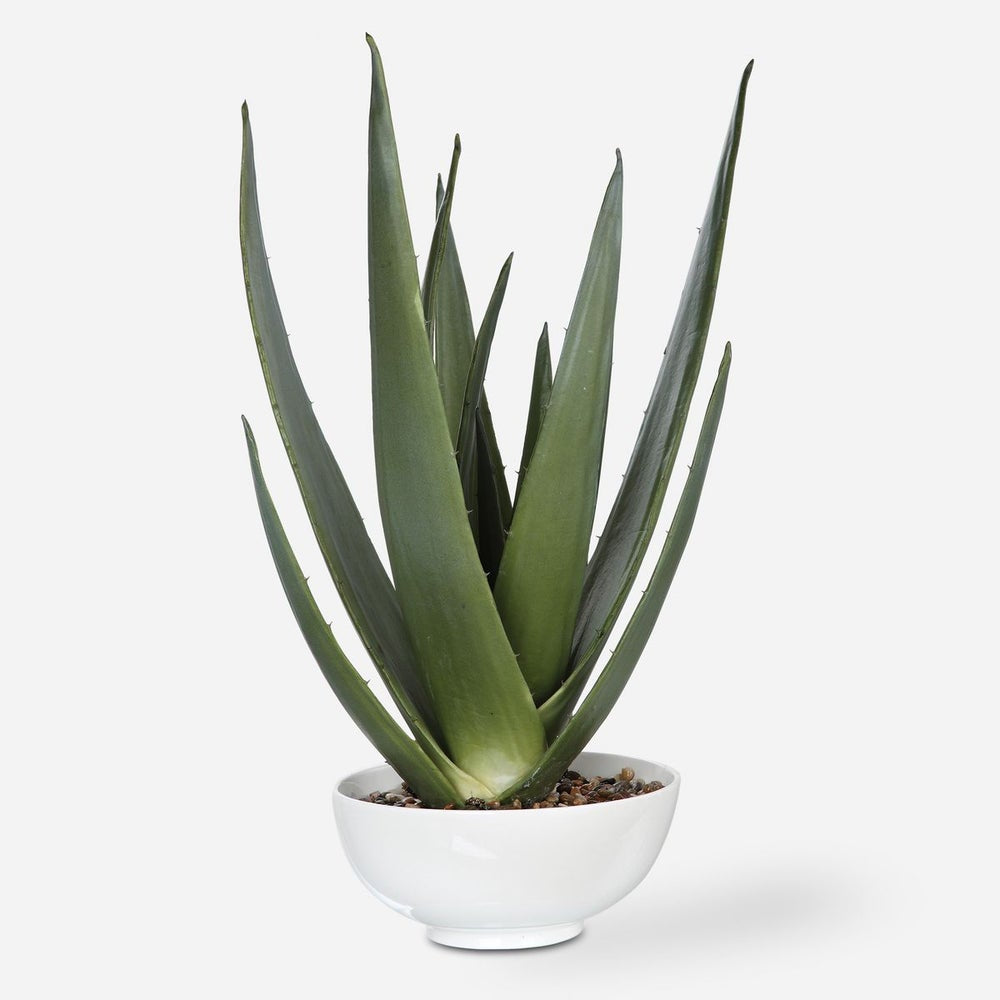 Uttermost Evarado Aloe Planter Botanicals - Image 2