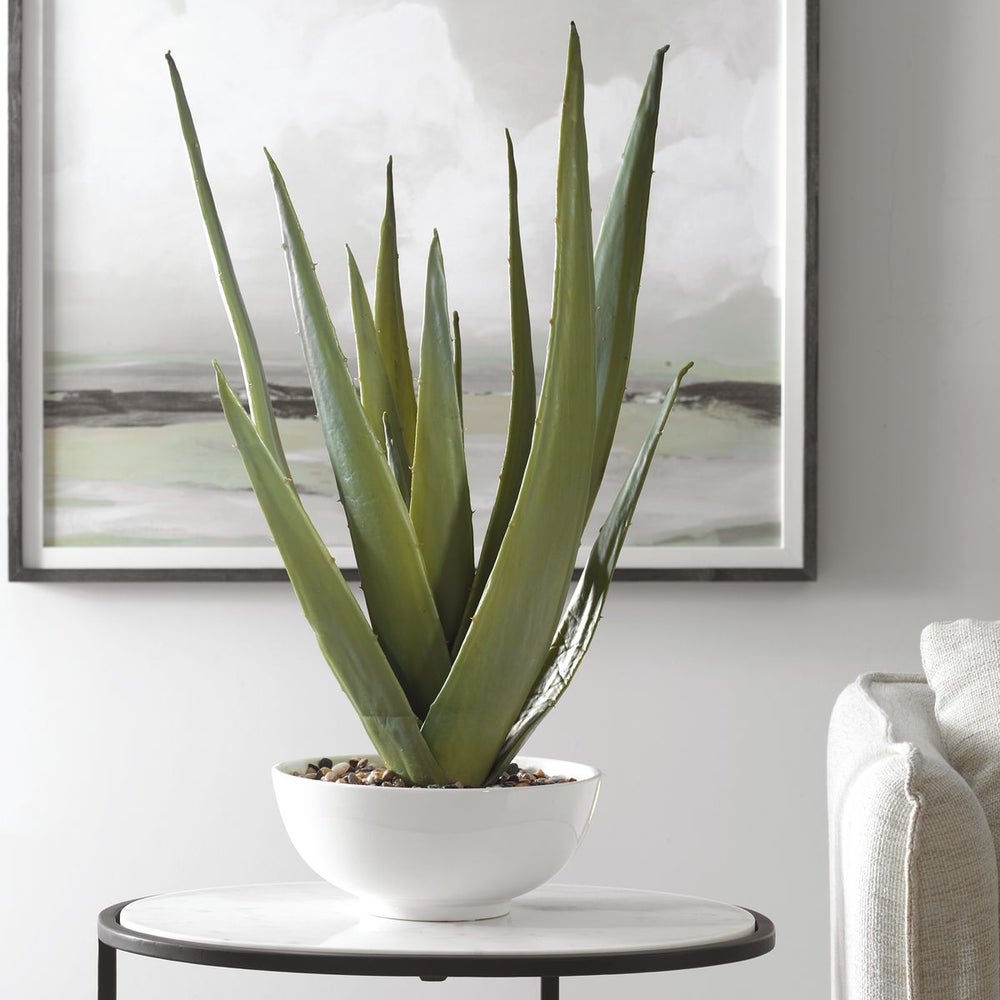 Uttermost Evarado Aloe Planter Botanicals - Image 1