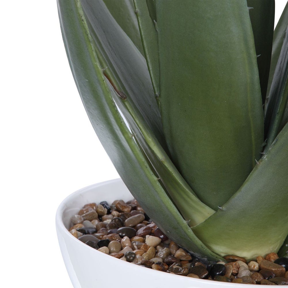 Uttermost Evarado Aloe Planter Botanicals - Image 3