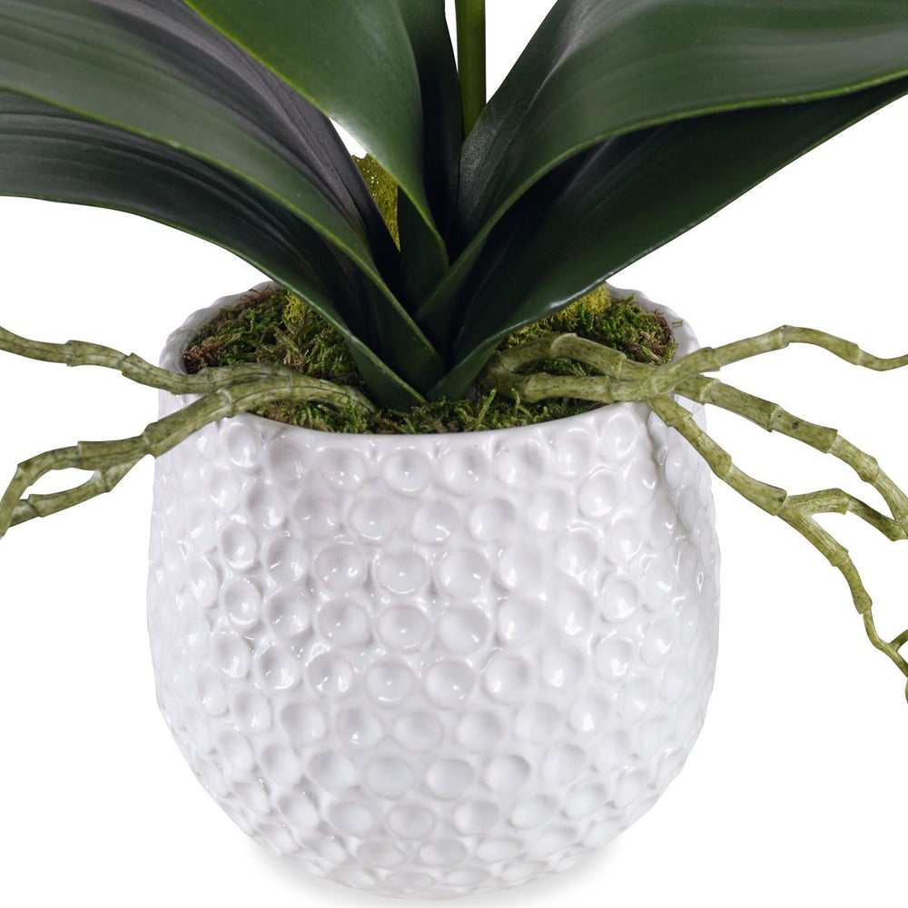 Uttermost Cami Orchid Botanicals - Image 3