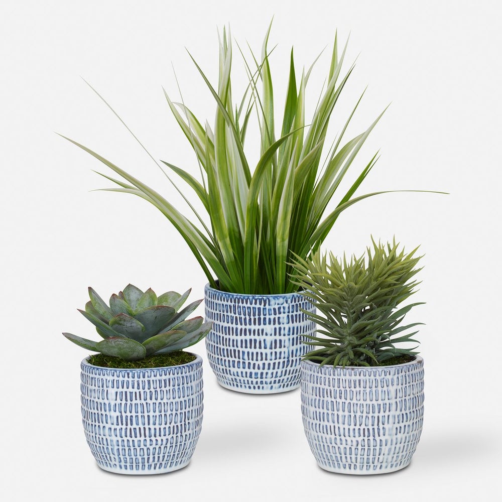 Uttermost Puebla Green Set Of Three Botanicals - Image 1