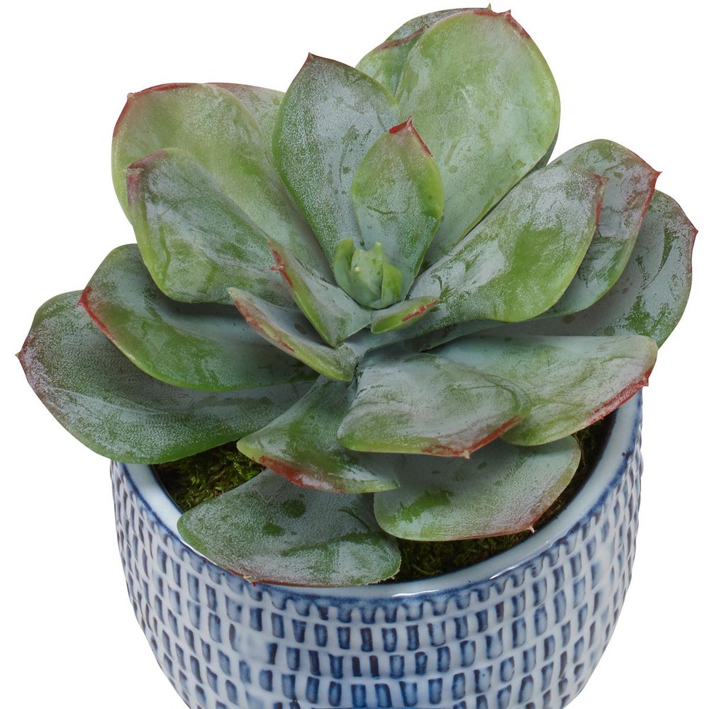 Uttermost Puebla Green Set Of Three Botanicals - Image 3