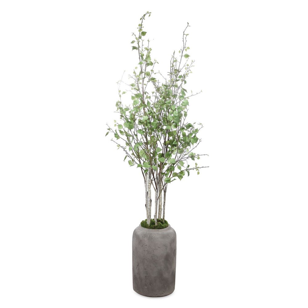 Uttermost Aldis Potted River Birch Botanicals - Image 2