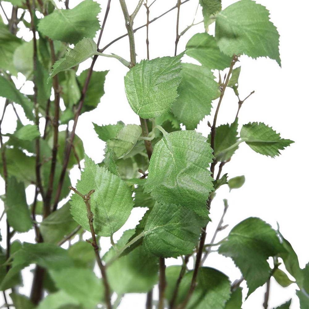 Uttermost Aldis Potted River Birch Botanicals - Image 3