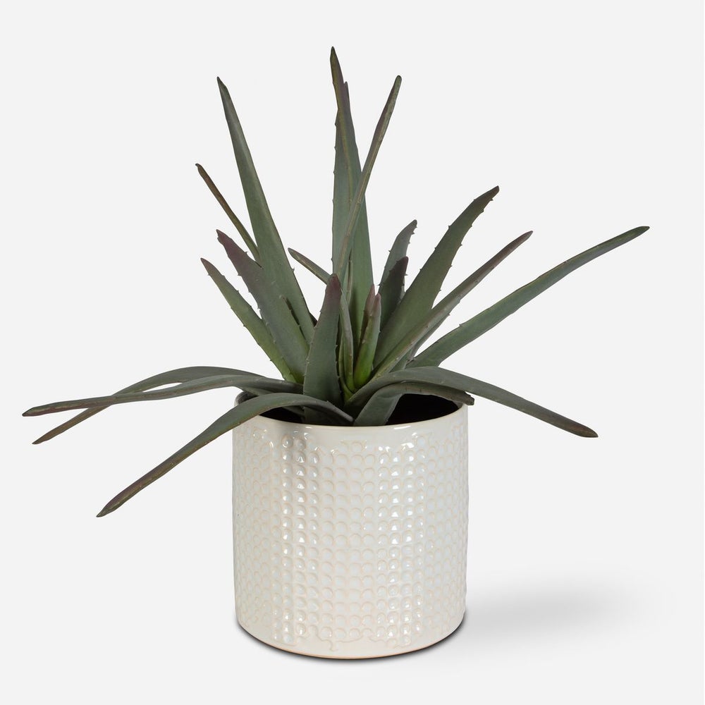 Uttermost Taos Aloe Centerpiece Botanicals - Image 2
