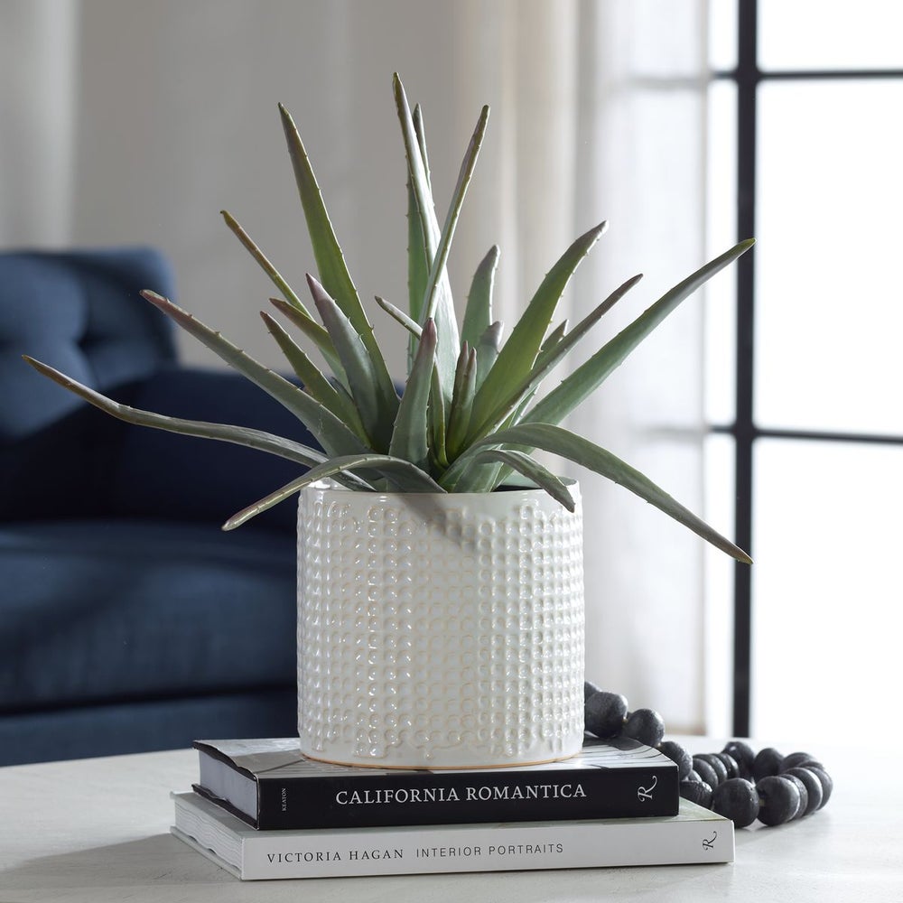 Uttermost Taos Aloe Centerpiece Botanicals - Image 1