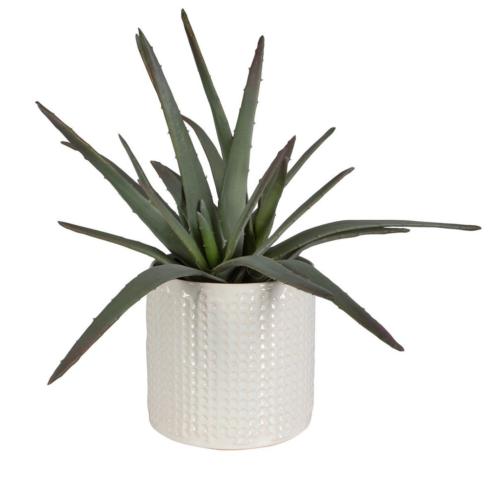 Uttermost Taos Aloe Centerpiece Botanicals - Image 3