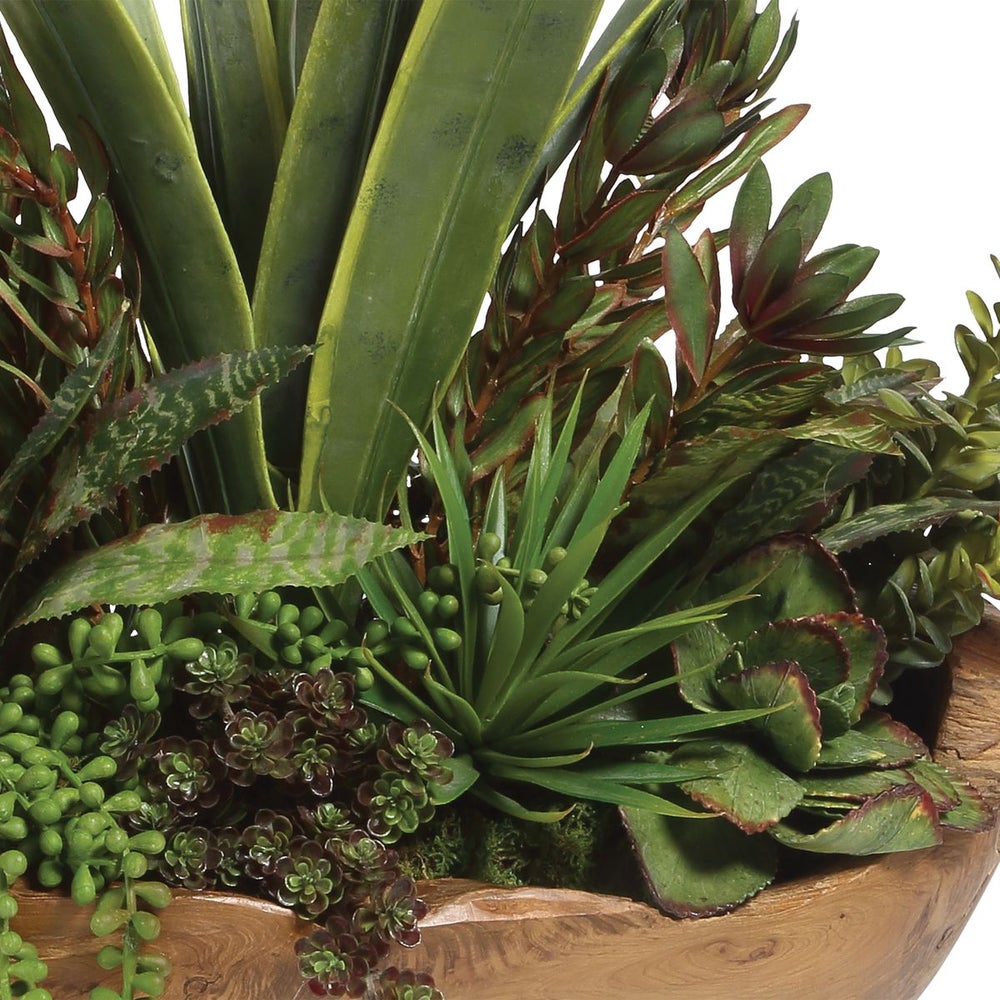 Uttermost Salar Succulents Botanicals - Image 3