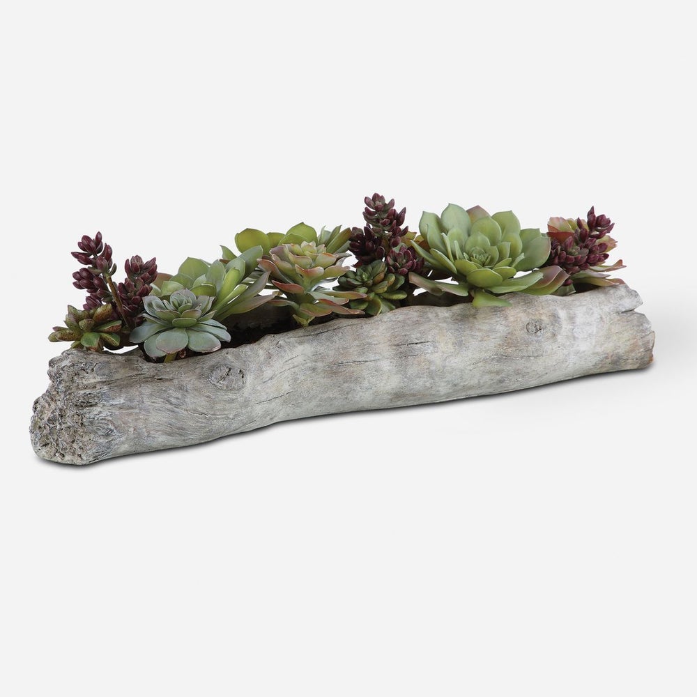 Uttermost Charita Succulents Botanicals - Image 2