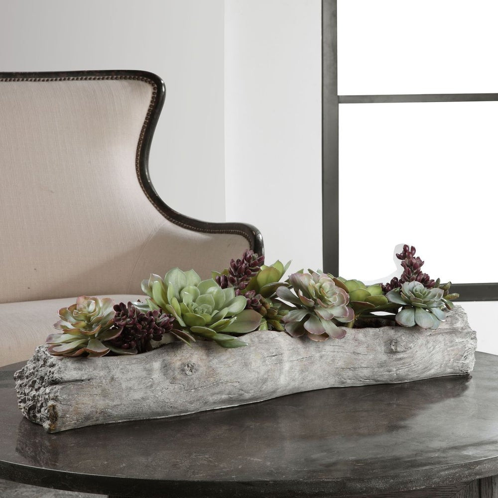Uttermost Charita Succulents Botanicals - Image 1