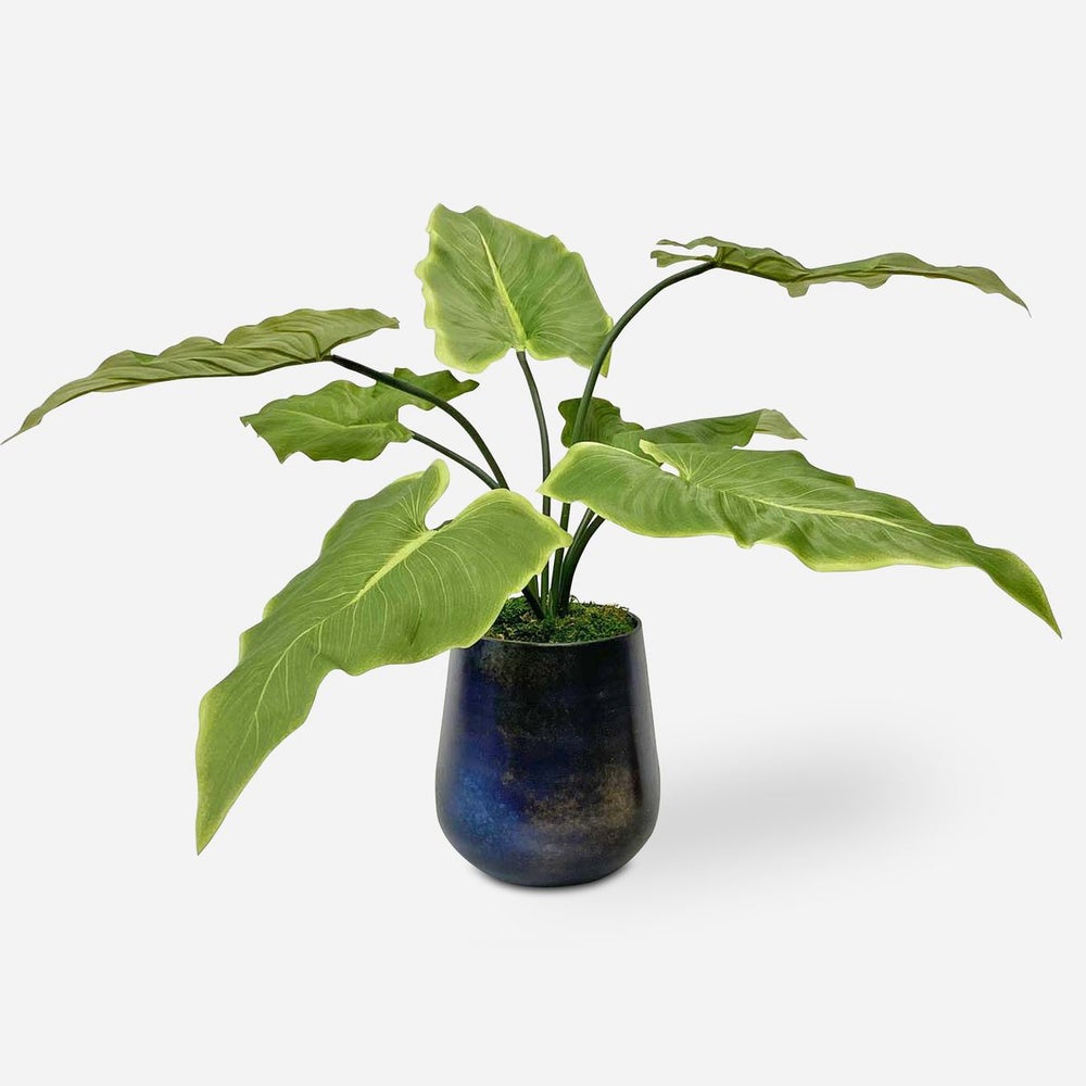 Uttermost Mari Calla Accent Botanicals - Image 2