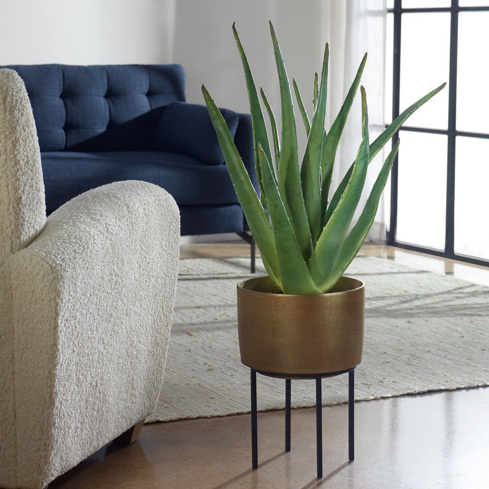 Uttermost Arabia Aloe Planter Botanicals - Image 1