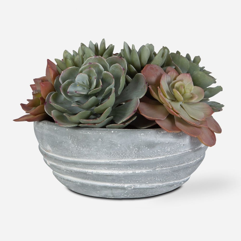 Uttermost Peoria Succulent Accent Botanicals - Image 2