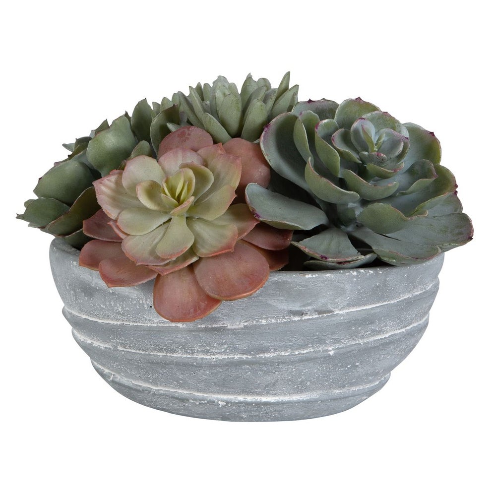 Uttermost Peoria Succulent Accent Botanicals - Image 3