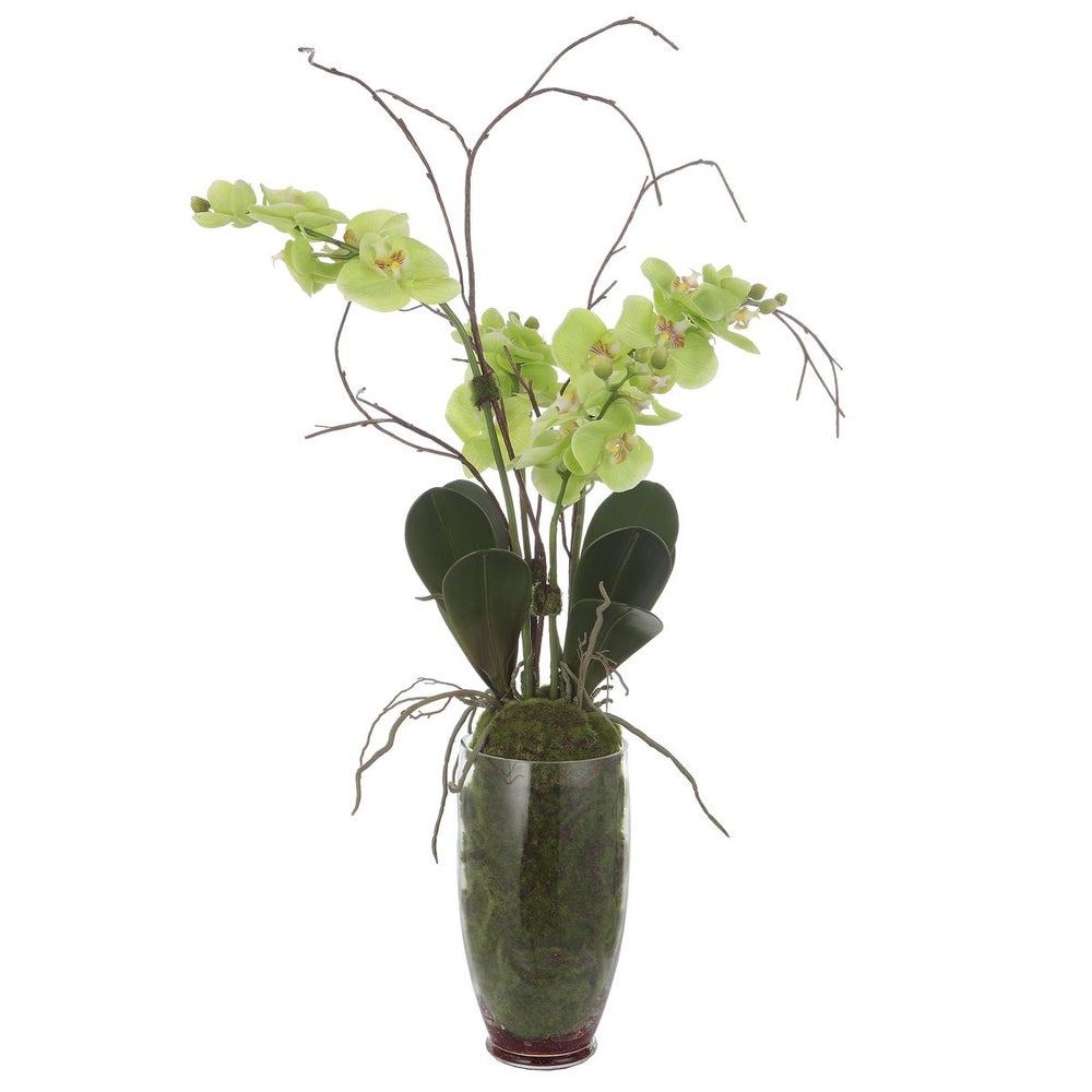 Uttermost Valdive Orchid Botanicals - Image 2