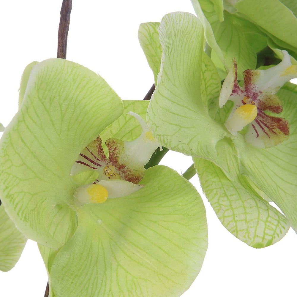 Uttermost Valdive Orchid Botanicals - Image 3