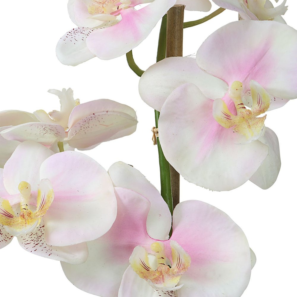 Uttermost Blush Orchid Botanicals - Image 3
