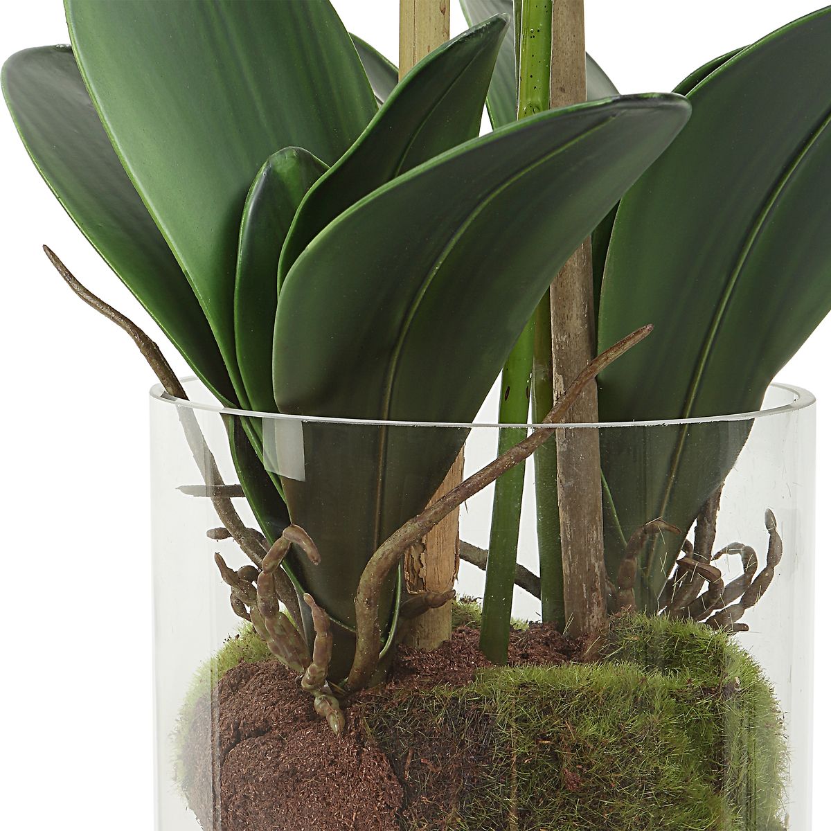 Uttermost Blush Orchid Botanicals - Image 2