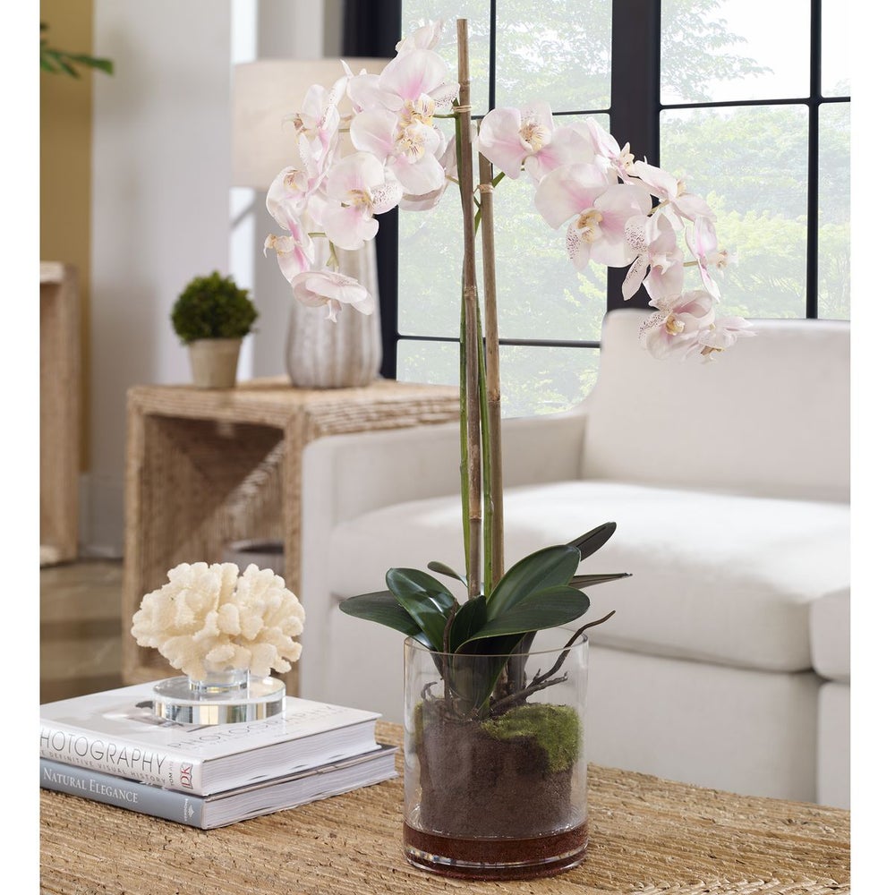 Uttermost Blush Orchid Botanicals - Image 1