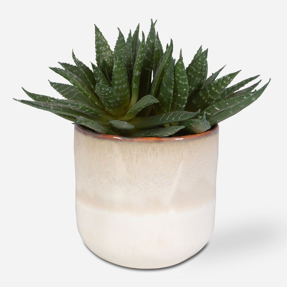 Uttermost Doha Succulent Accent Botanicals - Image 2