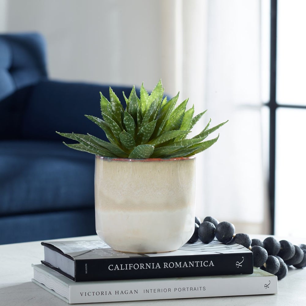 Uttermost Doha Succulent Accent Botanicals - Image 1