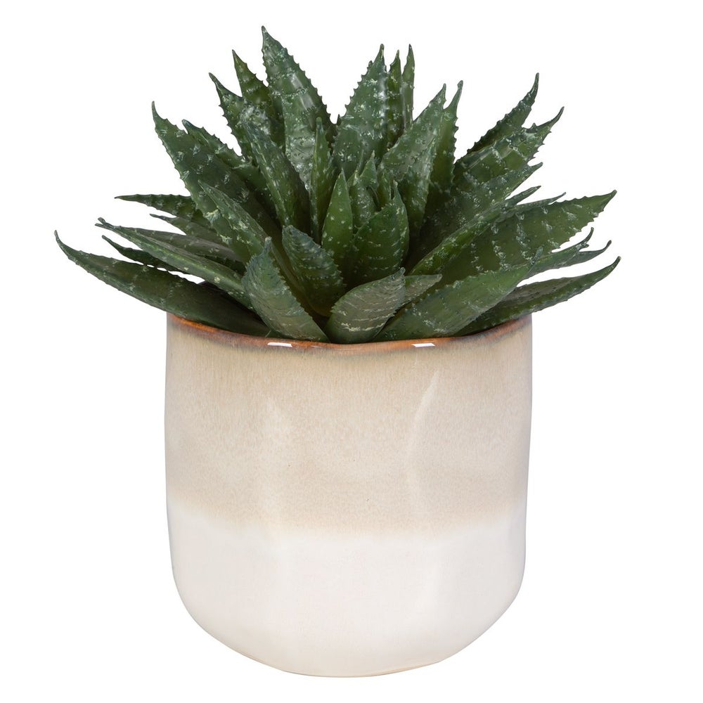Uttermost Doha Succulent Accent Botanicals - Image 3