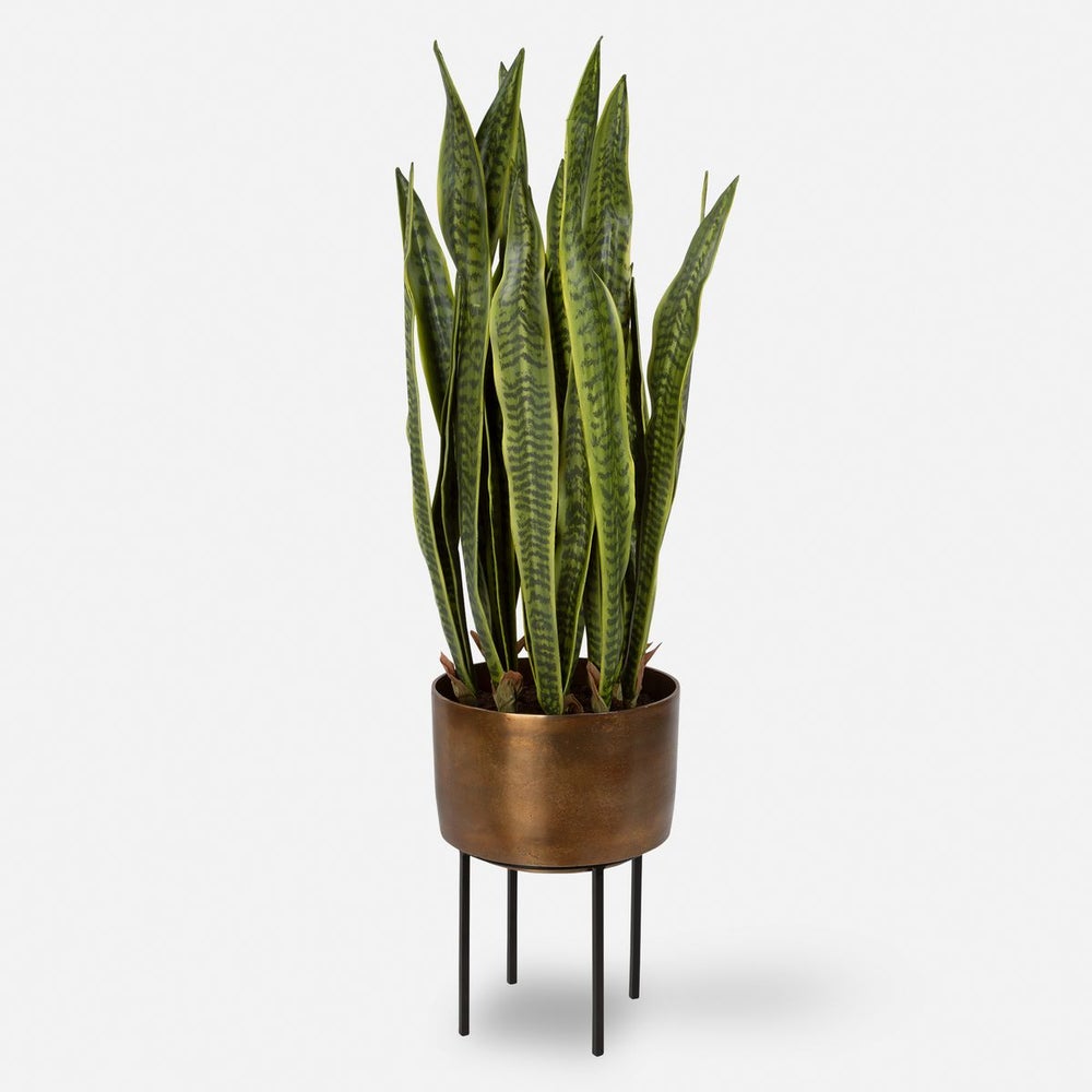 Uttermost Fasita Planter Botanicals - Image 2